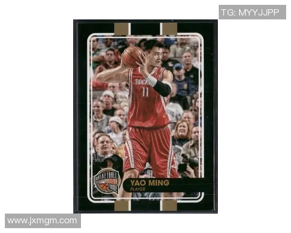 姚明的光明之路：从篮球巨星到文化使者的传奇人生