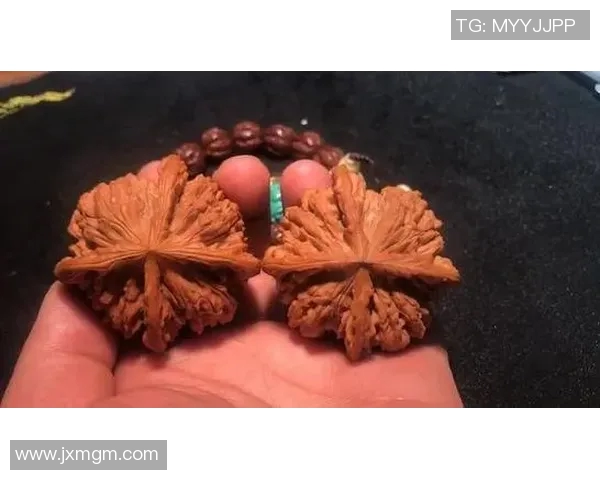 姚明的核桃背后隐藏的故事与人生哲学探讨